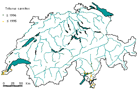 Verbreitung Alpenkammolch in der Schweiz