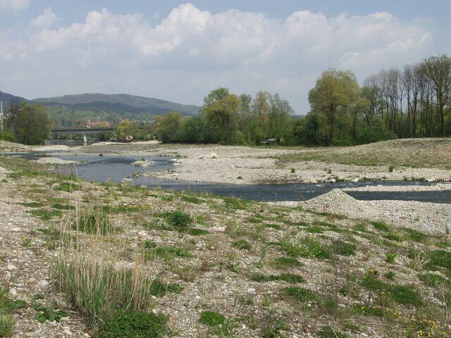 Aare bei Oftrigen