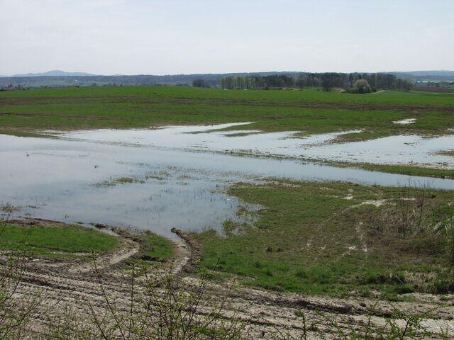 Überflutete Wiesen