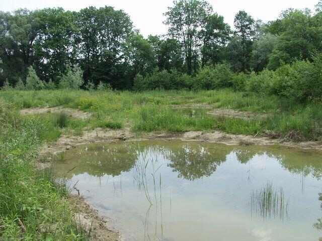 Tümpel