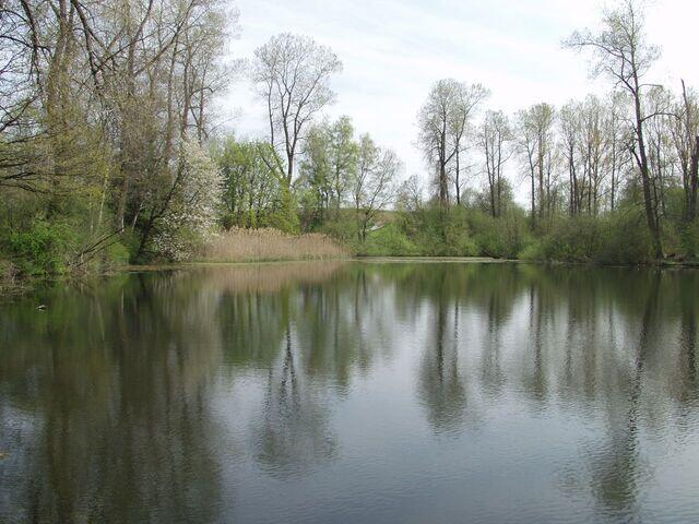 Weiher
