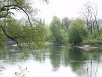 Aare bei Oftrigen