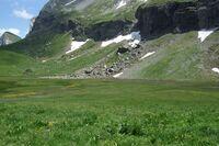 Moorlandschaft im Gebirge
