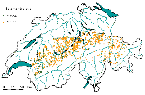 Verbreitung Karte Alpensalamander