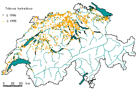 Verbreitung Fadenmolch in der Schweiz