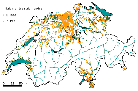 Verbreitung Karte Feuersalamander