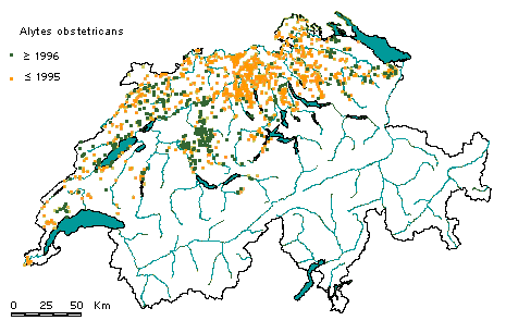 Verbreitung Geburtshelferkröte in der Schweiz