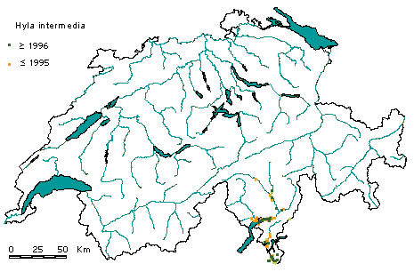 Verbreitung Italienischer Laubfrosch Schweiz