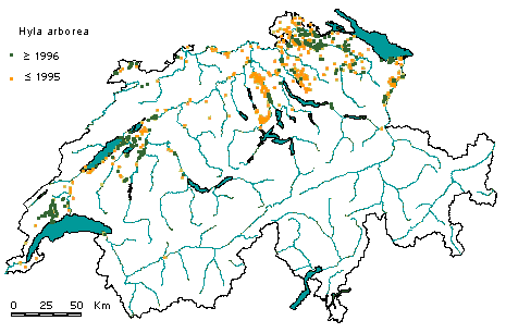 Verbreitung Europäischer Laubfrosch Schweiz