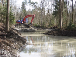 Renaturierungen in der Flussaue