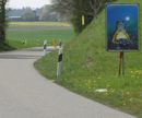 Strasse durchquert Amphibienroute