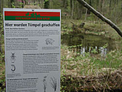 Neu geschaffener Tümpel
