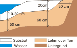Masse Lehmabdichtung und Substrat beim Gartenteich