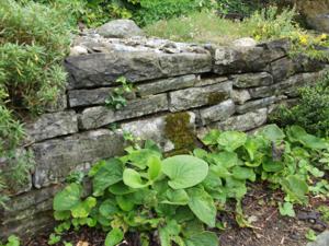 Trockenmauer